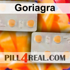 Goriagra 173