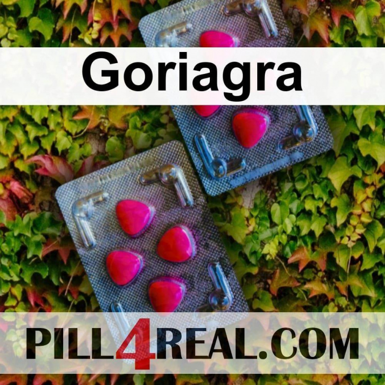 Goriagra 269