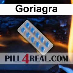 Goriagra 458