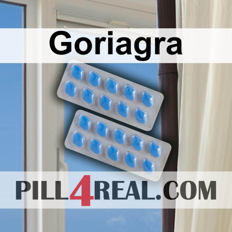 Goriagra 960