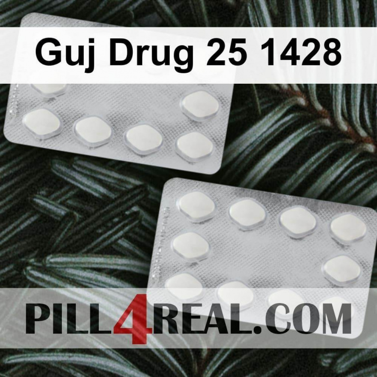 Guj Drug 25 1428 210