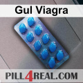 Gul Viagra 032