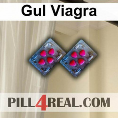 Gul Viagra 045