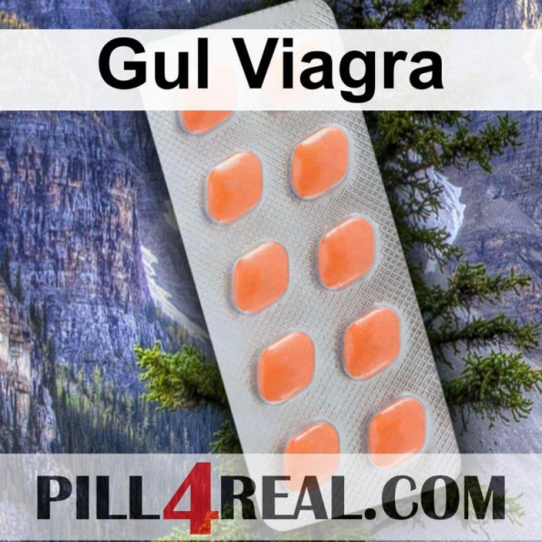 Gul Viagra 389