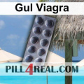 Gul Viagra 391