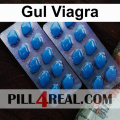 Gul Viagra 523