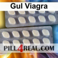 Gul Viagra 524