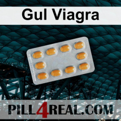 Gul Viagra 538