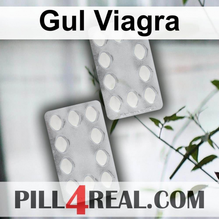 Gul Viagra 689