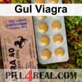 Gul Viagra 873