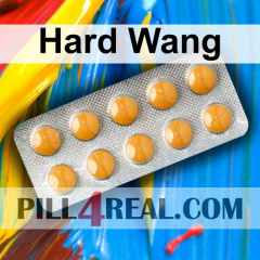 Hard Wang 004