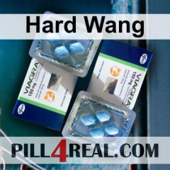 Hard Wang 022