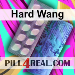 Hard Wang 047
