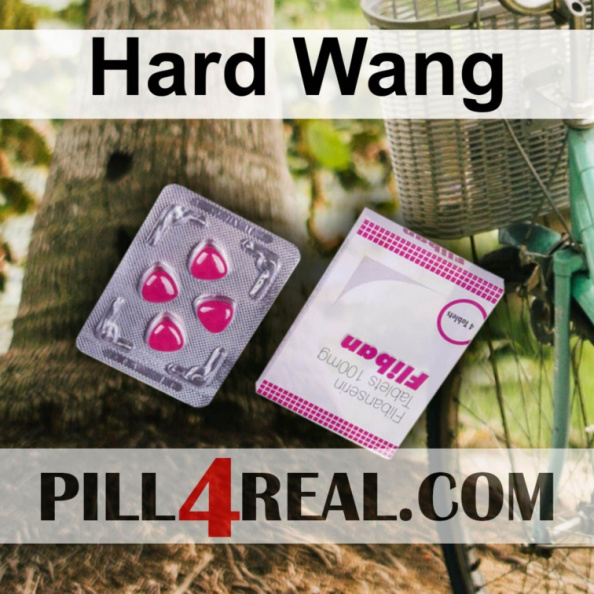 Hard Wang 070