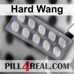 Hard Wang 076