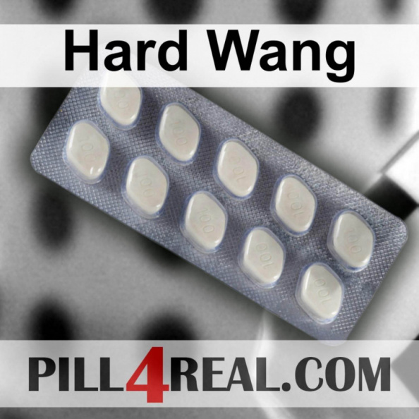 Hard Wang 076