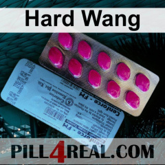 Hard Wang 092