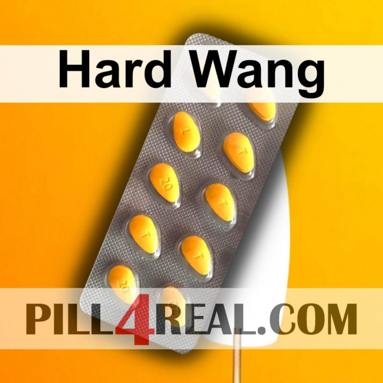 Hard Wang 108