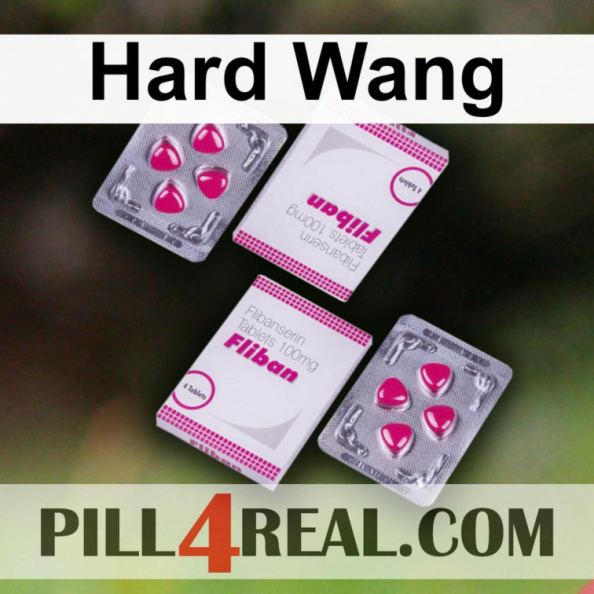 Hard Wang 229