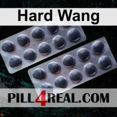 Hard Wang 303