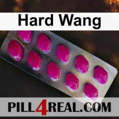 Hard Wang 511