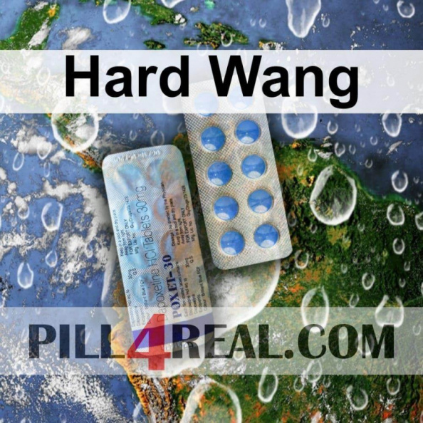 Hard Wang 516