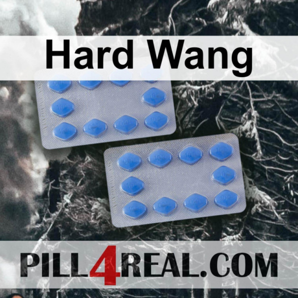Hard Wang 528