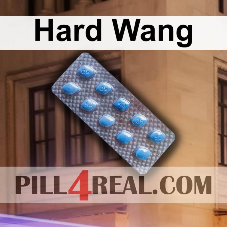 Hard Wang 560