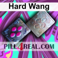 Hard Wang 572