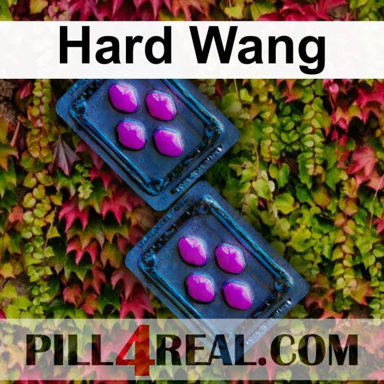 Hard Wang 591