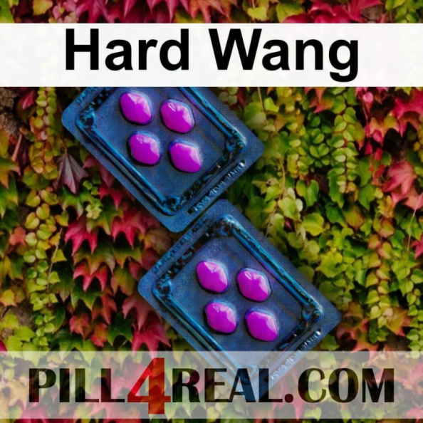Hard Wang 591