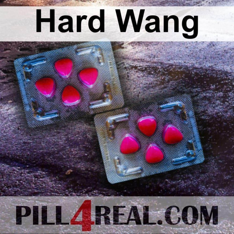 Hard Wang 701