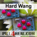 Hard Wang 710