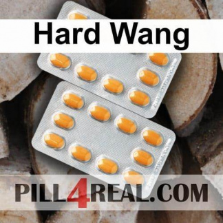 Hard Wang 764
