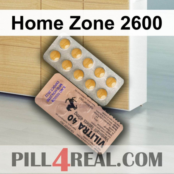 Home Zone 2600 133