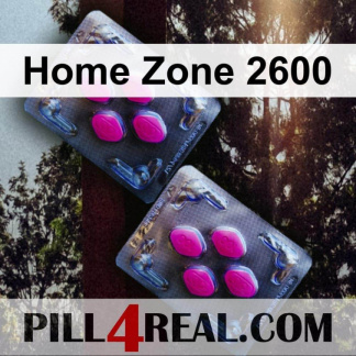 Home Zone 2600 183