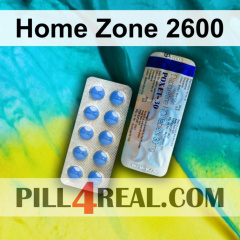 Home Zone 2600 480