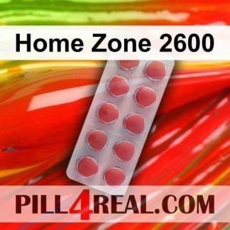 Home Zone 2600 619