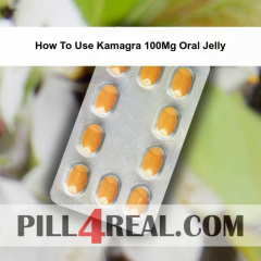 How To Use Kamagra 100Mg Oral Jelly 352