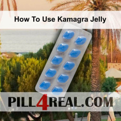 How To Use Kamagra Jelly 027