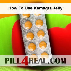 How To Use Kamagra Jelly 493