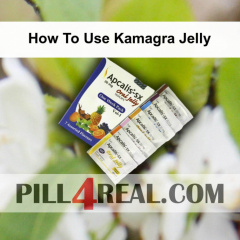 How To Use Kamagra Jelly 508