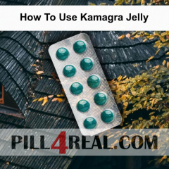 How To Use Kamagra Jelly 894