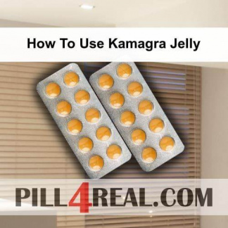 How To Use Kamagra Jelly 958