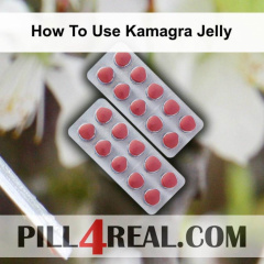 How To Use Kamagra Jelly 989
