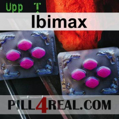 Ibimax 038