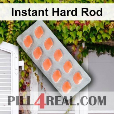 Instant Hard Rod 367