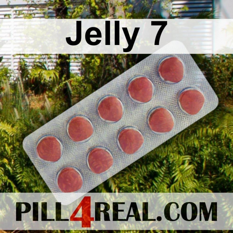Jelly 7 824