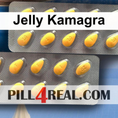 Jelly Kamagra 228