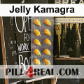 Jelly Kamagra 840